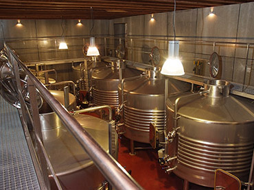 Bodegas Son Puig
