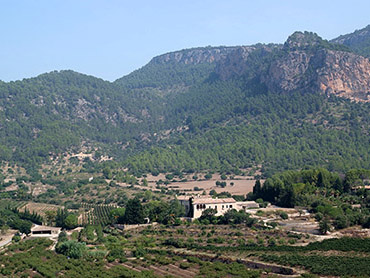 Bodegas Son Puig